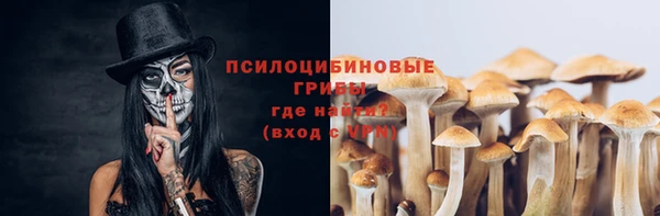 мяу мяу мука Аркадак