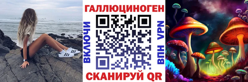 закладка  Бокситогорск  Галлюциногенные грибы прущие грибы 